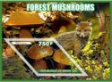 Forest mushrooms