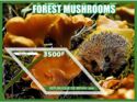 Forest mushrooms