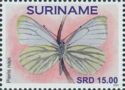 Green-veined White (Pieris napi)