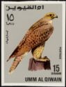 Gyrfalcon (Falco rusticolus)