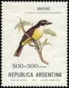 Great Kiskadee (Pitangus sulphuratus bolivianus)