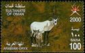 Arabian Oryx (Oryx leucoryx)