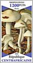 Hygrophorus eburneus