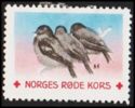 Norges roede kors