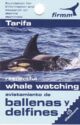 Firmm - Whale Watching
