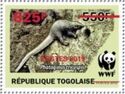 Three-Cusped Pangolin (Phataginus tricuspis) - Red Overprint