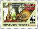 Three-Cusped Pangolin (Phataginus tricuspis) - Red Overprint