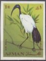 African Sacred Ibis (Threskiornis aethiopicus)