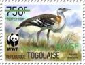 Denham's Bustard (Neotis denhami) - Green Overprint
