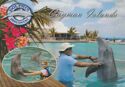 Grand Cayman. Dolphin Discovery