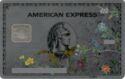 American Express Platinum - Kehinde Wiley