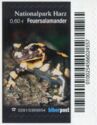 Nationalpark Harz, Feuersalamander