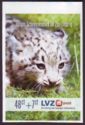 Snow Leopard (Panthera uncia)