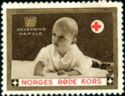 Norges Rode Kors