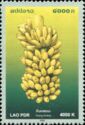 Ambon Banana