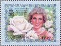 Diana and "Princess of Wales" Rose