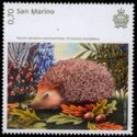 West European Hedgehog (Erinaceus europaeus)