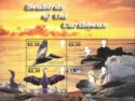 Seabirds of the Caribbean