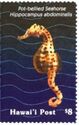 Seahorses