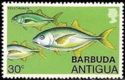 Yellow Jack (Caranx bartholomaei) - Overprinted