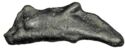 1 Dolphin (Proto-currency Dolphin 06)