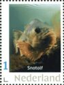 Wolffish