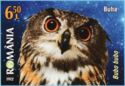 Eurasian Eagle Owl (Bubo bubo)