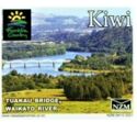 Tuakau Bridge, Waikato River - Small Format