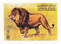 Lion (Panthera leo)