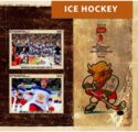 Sport Ice Hockey World Championship 2014