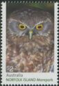 Close-up of Norfolk Island Morepork