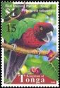 Red Shining-Parrot (Prosopeia tabuensis)