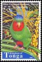Blue-crowned Lorikeet (Vini australis)