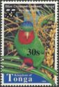 Blue-crowned Lorikeet (Vini australis)