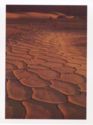 Death Valley. Mesquite Flat Dunes. Alkali Cakes Design