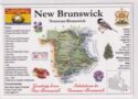 North America | Canada. Provinces - NEW Brrunswick (MOTW CA)