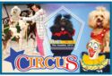 Circus