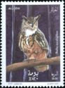 Pharaoh Eagle-Owl (Bubo ascalaphus)