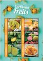 Caribbean Fruits