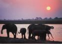 Sunset by Waterhole