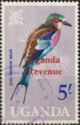 Lilac-breasted Roller (Coracias caudatus)