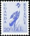 Grey Crowned Crane (Balearica regulorum)