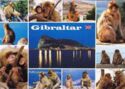 Gibraltar