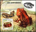 Amphibians