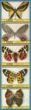 Butterflies - se-tenant