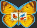 Butterflies (2014)