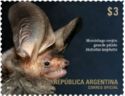 Thomas's Big-eared Brown Bat (Histiotus laephotis)