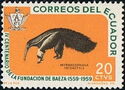 Giant Anteater (Myrmecophaga tridactyla)