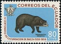 Spectacled Bear (Tremarctos ornatus)