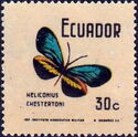 Erato Heliconian (Heliconius erato ssp. chestertoni)